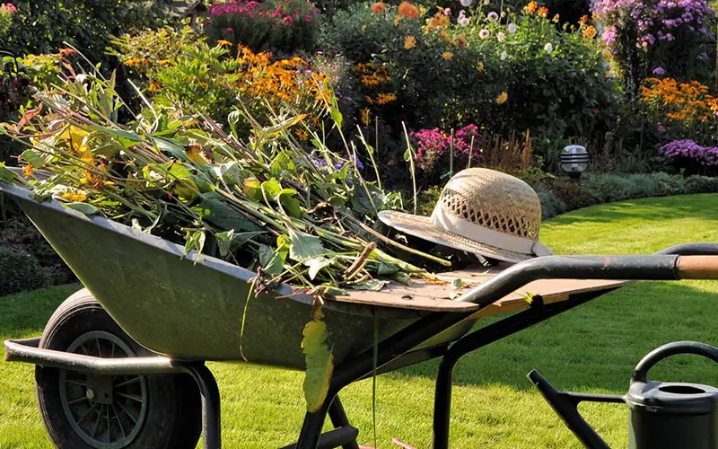 Schubkarre mit Grünschnitt und Gartenhut auf einer gepflegten Rasenfläche