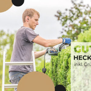 Projektbau Duisburg - Gutschein - Hecke schneiden inkl. Grünschnittentsorgung 20 Meter - 80 €